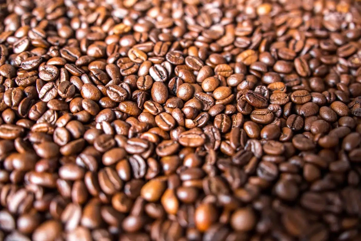 Skal du vælge kapsler, instantkaffe, stempelkande eller klassisk filterkaffe? Her får du kaffeelskernes bedømmelse